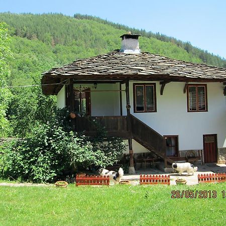 Guest House Four Pines Troyan (Lovech) Exterior foto